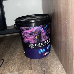 Coral pro salt